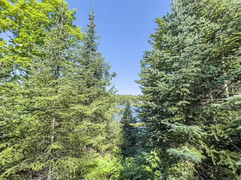 On Chaney Lake Road Bessemer Twp MI 49911