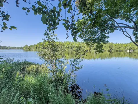On Chaney Lake Road Bessemer Twp MI 49911