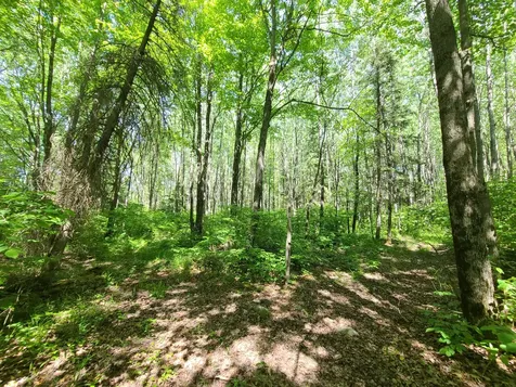 On Old 8 Road W Prentice WI 54556