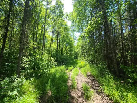 On Old 8 Road W Prentice WI 54556