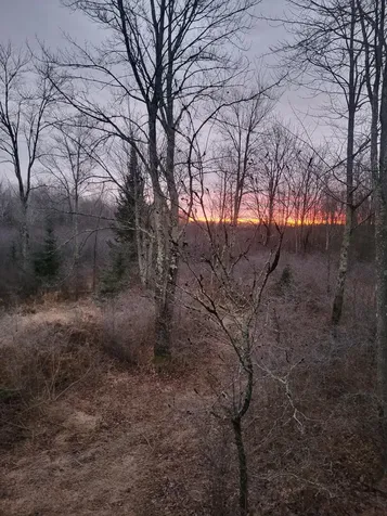 On Old 8 Road W Prentice WI 54556