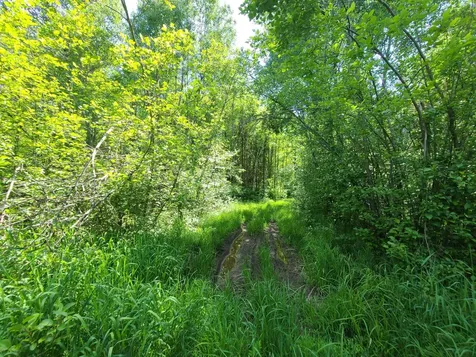 On Old 8 Road W Prentice WI 54556