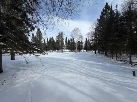 11543 Lakeview Drive Butternut WI 54514