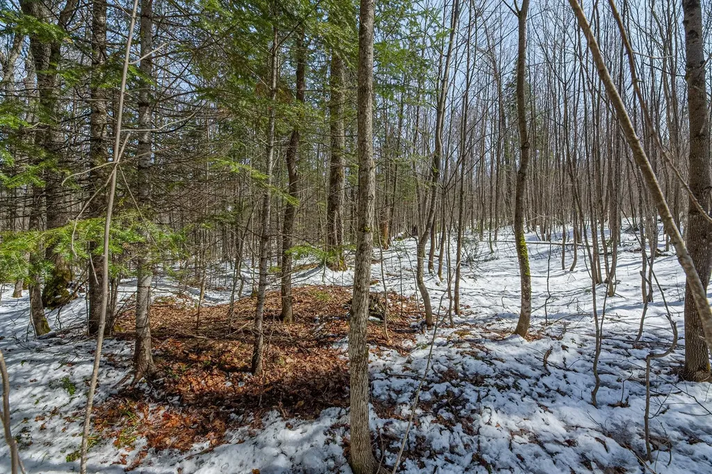 56+/- Ac Highway 77 Upson WI 54565