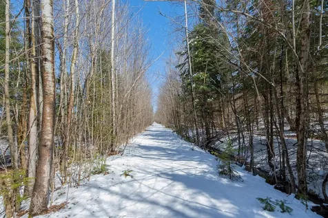 56+/- Ac Highway 77 Upson WI 54565