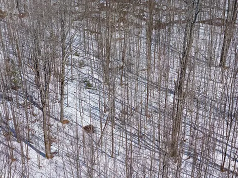 56+/- Ac Highway 77 Upson WI 54565