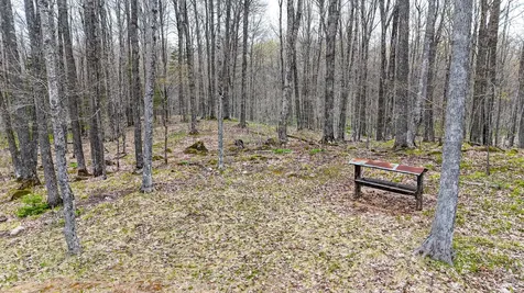 7010 Hiawatha Lake Road Manitowish Waters WI 54545