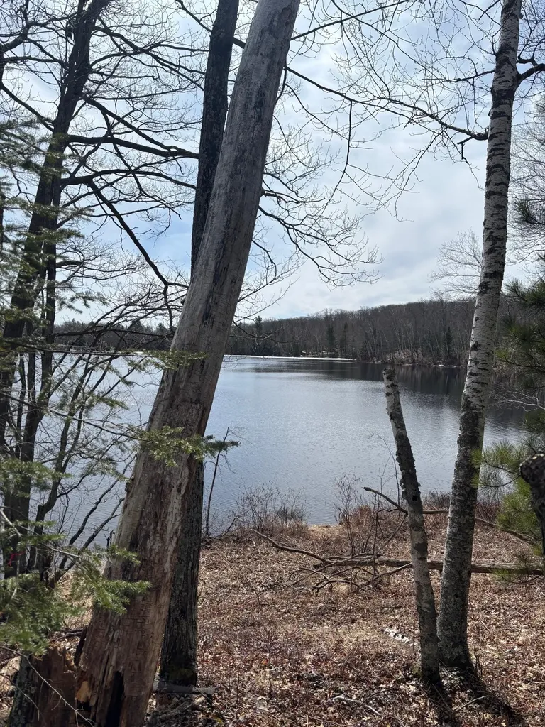 Off Cth S Land O Lakes WI 54540