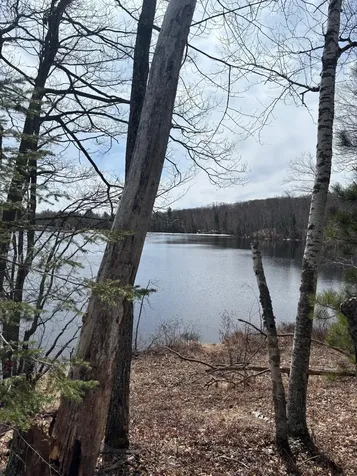 Off Cth S Land O Lakes WI 54540