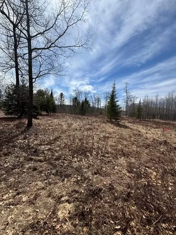 Off Cth S Land O Lakes WI 54540