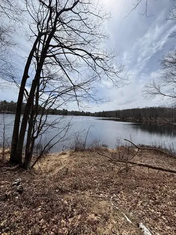 Off Cth S Land O Lakes WI 54540