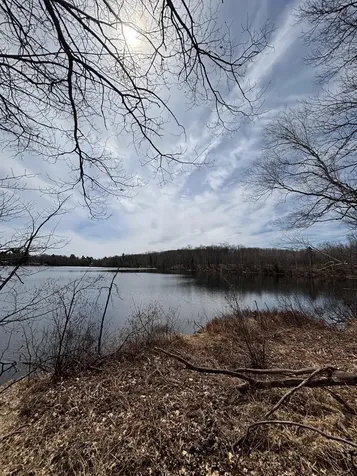 Off Cth S Land O Lakes WI 54540