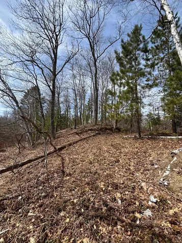Off Cth S Land O Lakes WI 54540
