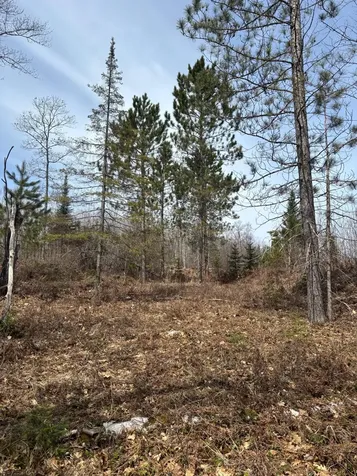 Off Cth S Land O Lakes WI 54540