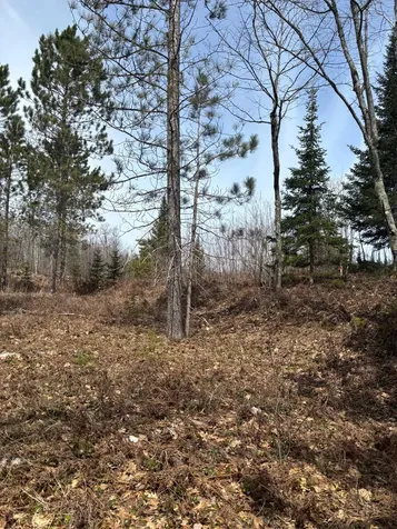 Off Cth S Land O Lakes WI 54540