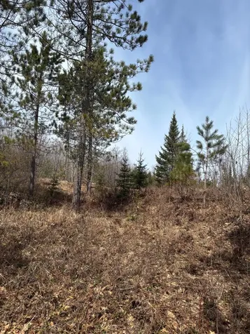 Off Cth S Land O Lakes WI 54540