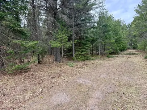 On Snowshoe Lane Land O Lakes WI 54540