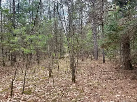 On Snowshoe Lane Land O Lakes WI 54540