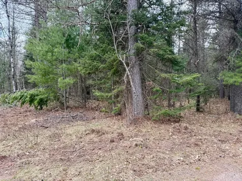 On Snowshoe Lane Land O Lakes WI 54540