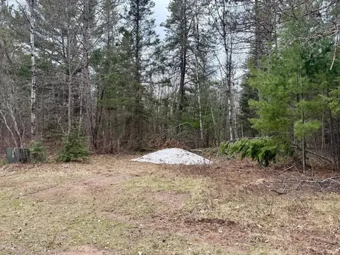 On Snowshoe Lane Land O Lakes WI 54540