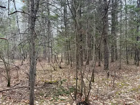 On Snowshoe Lane Land O Lakes WI 54540