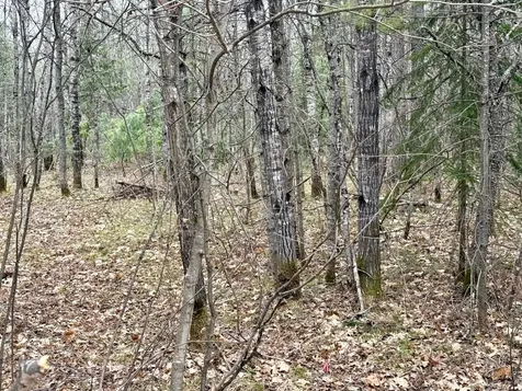 On Snowshoe Lane Land O Lakes WI 54540