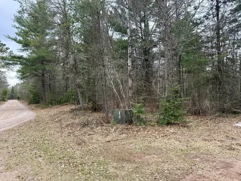 On Snowshoe Lane Land O Lakes WI 54540