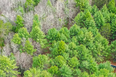 Lot 4 Rangeline Road Eagle River WI 54521