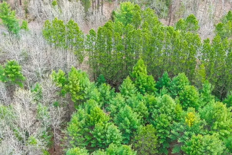 Lot 4 Rangeline Road Eagle River WI 54521
