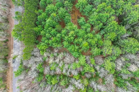 Lot 4 Rangeline Road Eagle River WI 54521