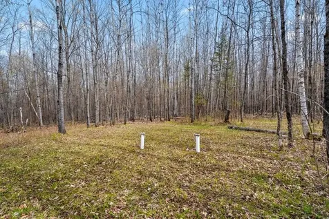 1458 Woodlawn Road Pickerel WI 54465