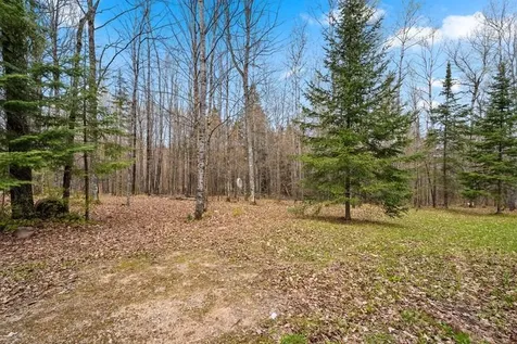 1458 Woodlawn Road Pickerel WI 54465