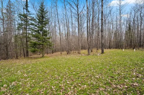 1458 Woodlawn Road Pickerel WI 54465