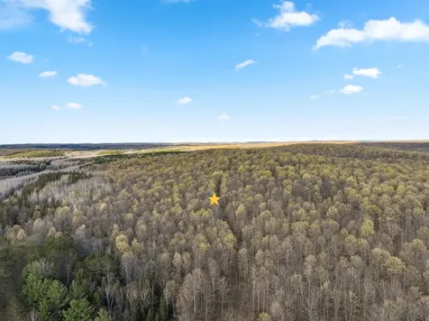 1458 Woodlawn Road Pickerel WI 54465