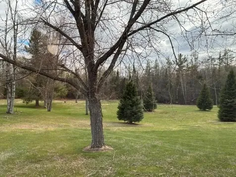 W10435 Cth T Summit Lake WI 54485