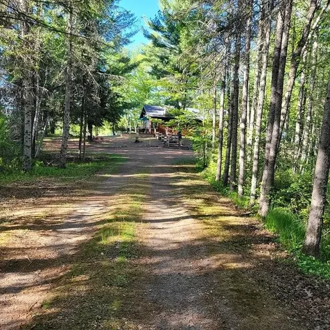 3132 Artishon Lane N Lac Du Flambeau WI 54538