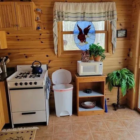3132 Artishon Lane N Lac Du Flambeau WI 54538
