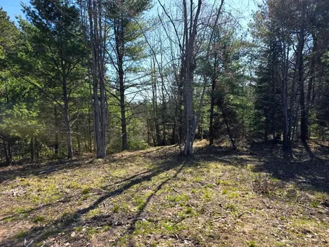 Off Highway 45 Land O Lakes WI 54540