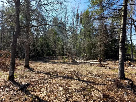 Off Highway 45 Land O Lakes WI 54540