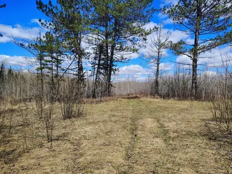 15782 Raven Lane Butternut WI 54514