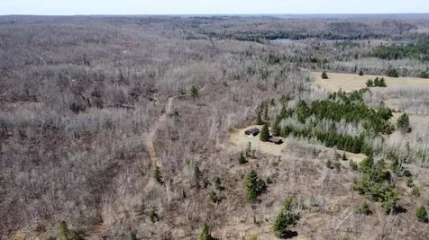 45 Acres Turtle Lake Road White Lake WI 54491