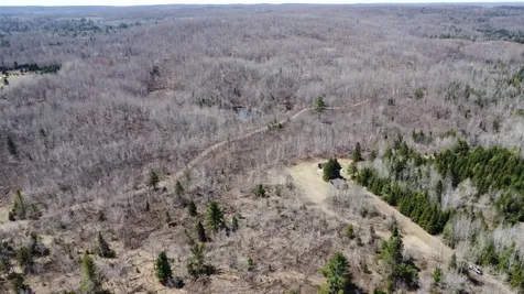 45 Acres Turtle Lake Road White Lake WI 54491