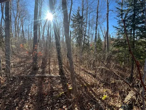 On Heart Lake Road Land O Lakes WI 54540