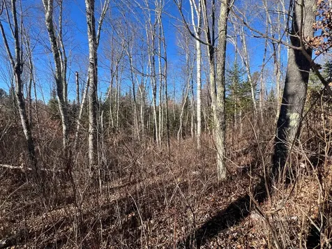 On Heart Lake Road Land O Lakes WI 54540