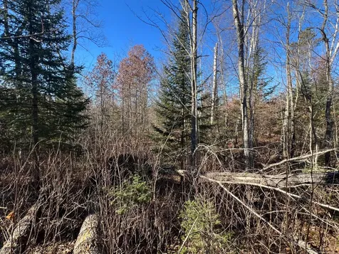 On Heart Lake Road Land O Lakes WI 54540