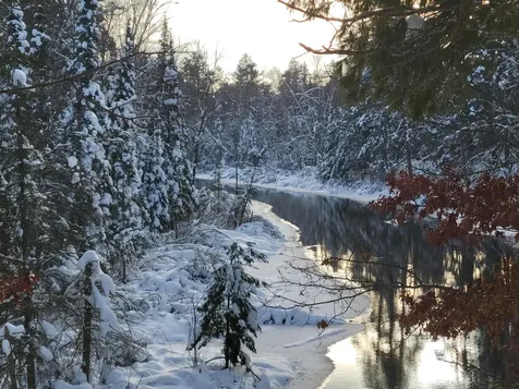 5364 River Run Lane Boulder Junction WI 54512