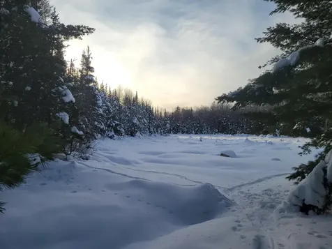 5364 River Run Lane Boulder Junction WI 54512