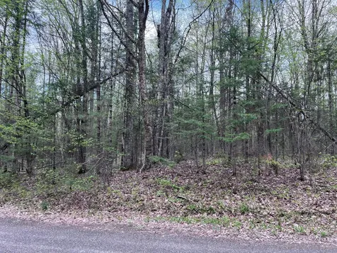 Off Moonshine Valley Road Presque Isle WI 54512