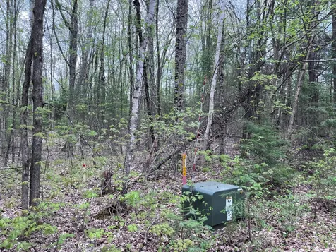 Off Moonshine Valley Road Presque Isle WI 54512