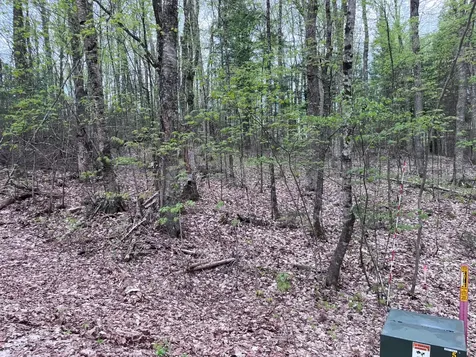 Off Moonshine Valley Road Presque Isle WI 54512